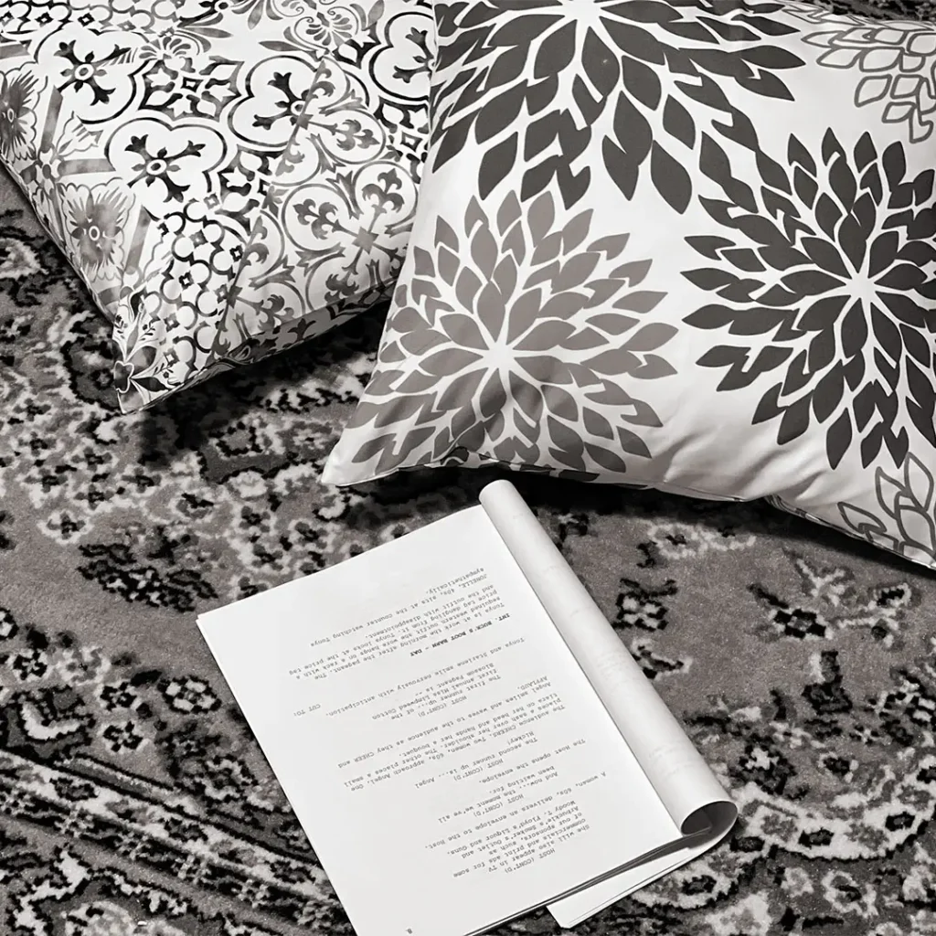 Script, pillows, and rug inside Catherine Provenza’s professional voiceover recording studio